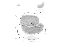 BRIGITTEBRCSZ18_5.webp