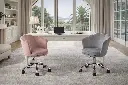 Rose_miseenscene.webp