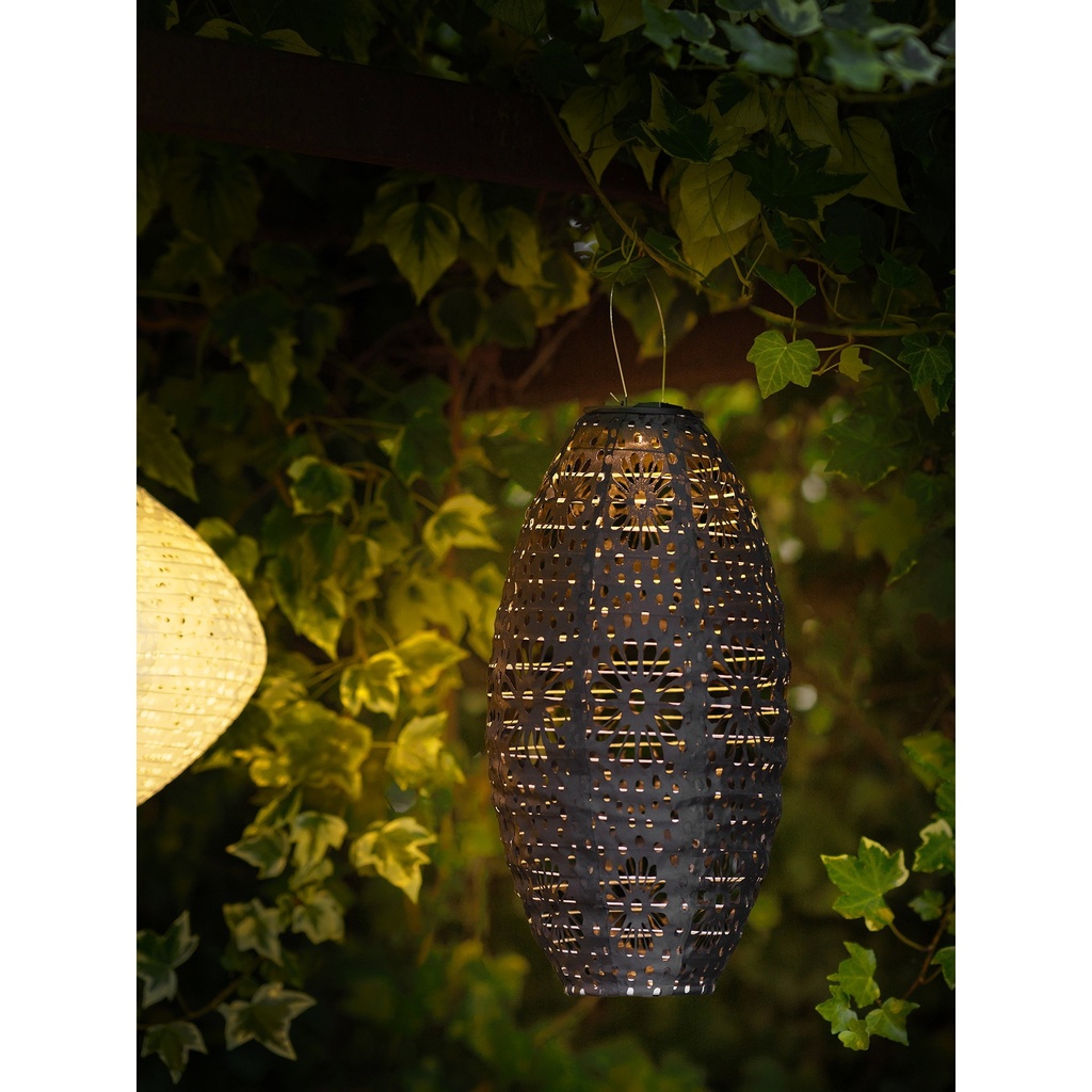 6405113-5