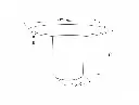 rondodimensions.webp