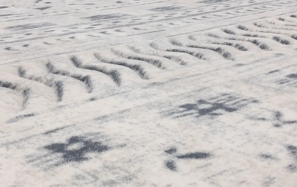 MASI_polar_white_1_5.webp