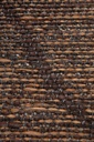 1230078000_PS5.jpg
