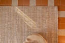 9170080000_PS8.jpg