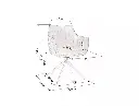 Azalia_dimensions.webp