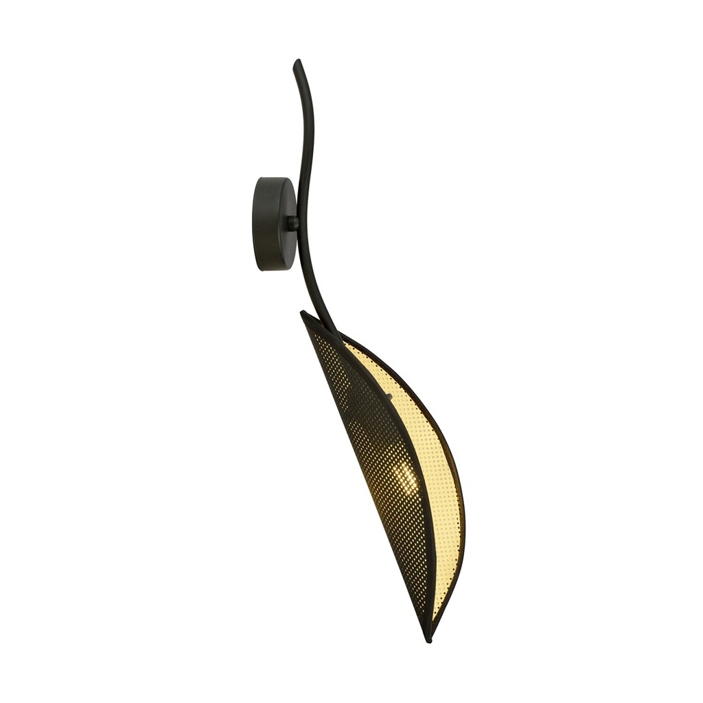 Applique LOTUS K1
