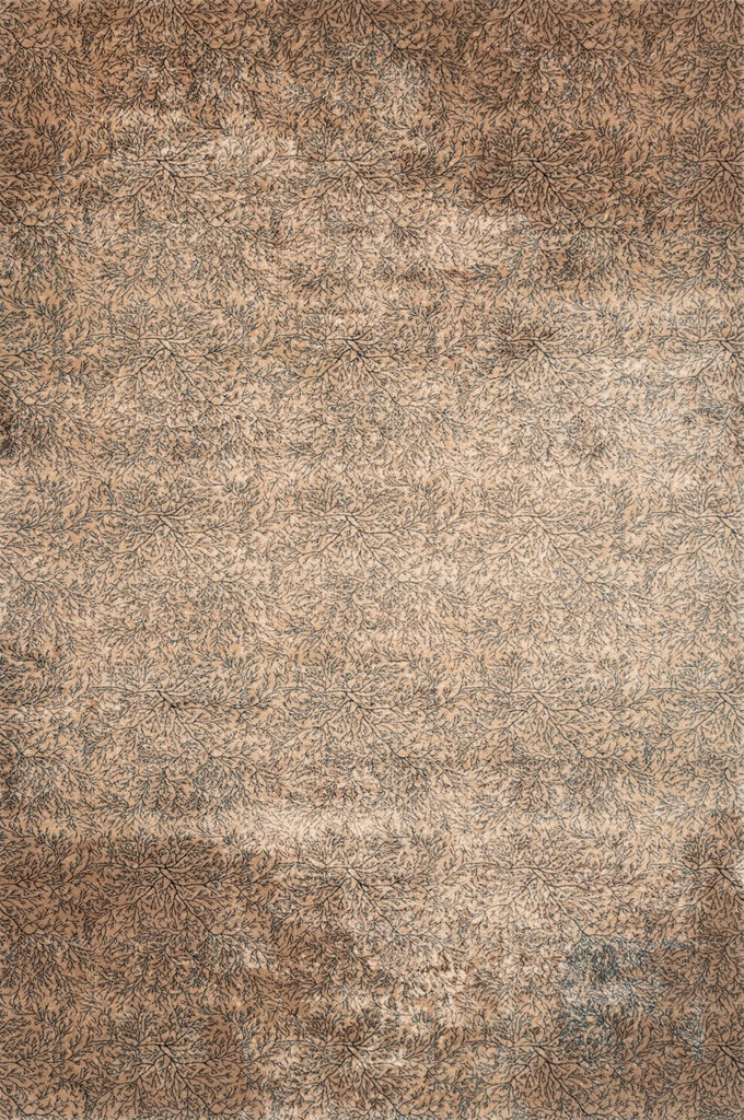 Tapis en laine CALISIA-B CORAIL beige clair - délicat motif patiné inspiré des coraux