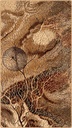 Tapis contemporain en laine ISFAHAN BELLONA ambre, style oriental moderne à feuillage