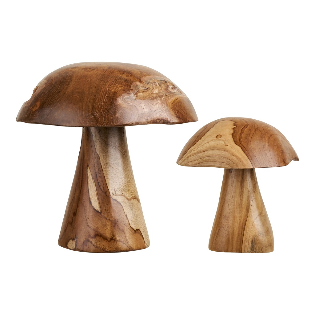 Champignons décoratifs Kodi