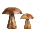 Champignons décoratifs Kodi