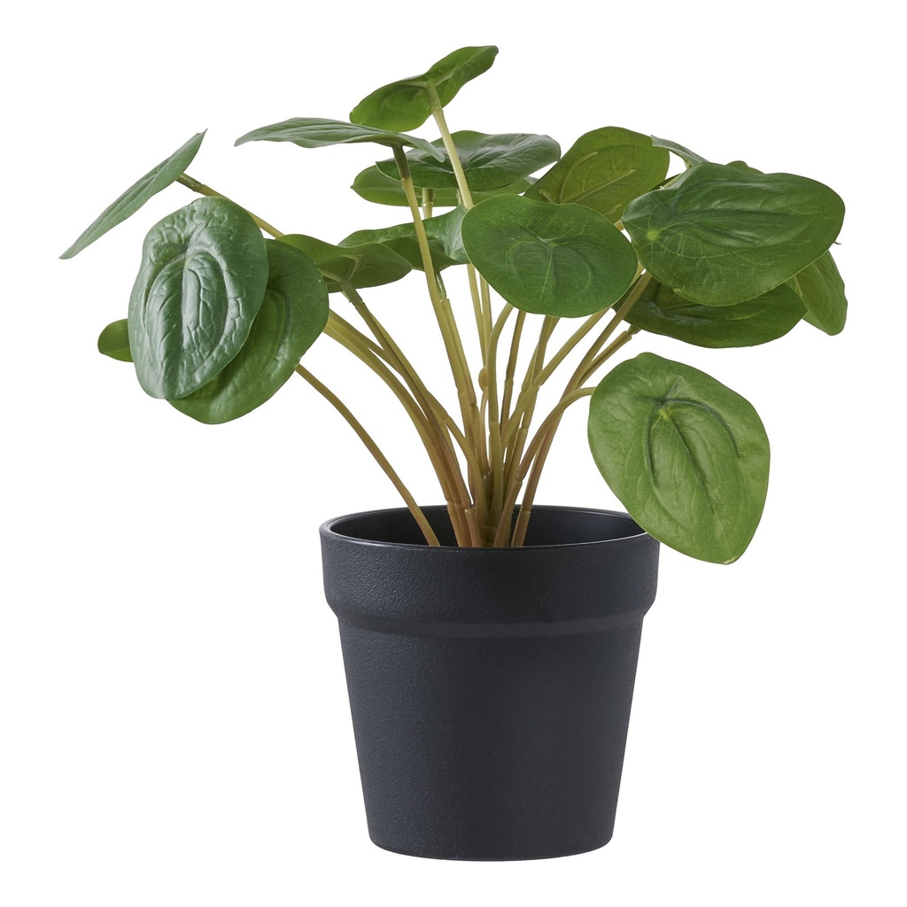 PLante artificielle Pélia - 14 cm