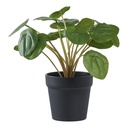 PLante artificielle Pélia - 14 cm