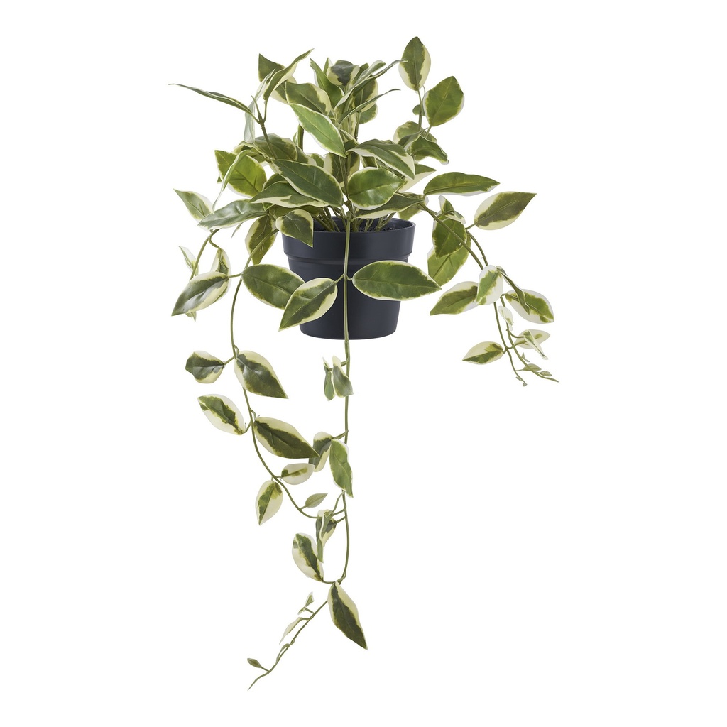 Plante artificielle suspendue Hoya Carnosa - 33 cm