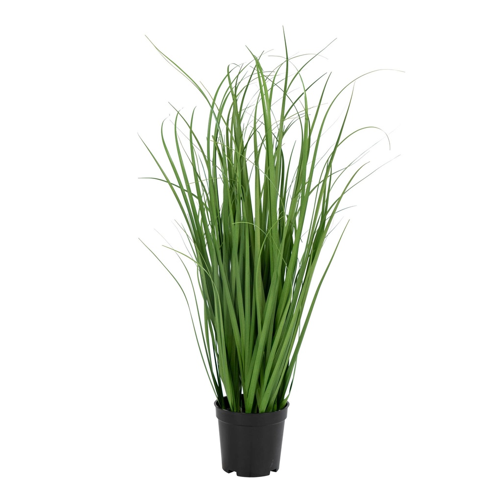Plante grasse artificielle Poa - 68 cm