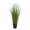 Plante grasse artificielle Poa - 68 cm