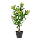 Arbre artificiel Skimmia - 75 cm