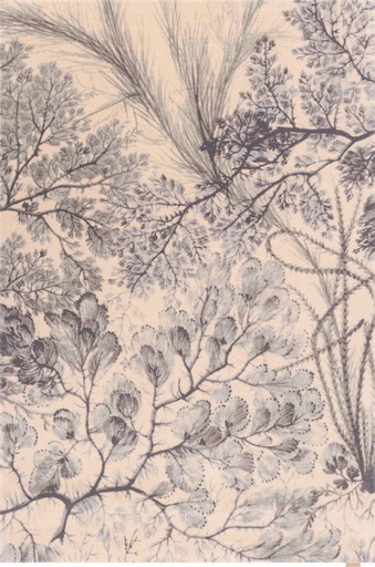 Tapis en laine CALISIA-B KELP menthe - motif à dessins d'inspiration botanique