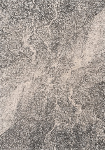 Tapis en laine CALISIA-B RIVO graphite - tapis contemporain effet marbré piqué
