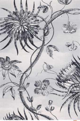 Tapis en laine CALISIA-B TALWIN gris - motif floral design noir et blanc esprit gravure botanique