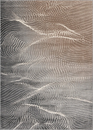 Tapis synthétique LIDA CORIN gris - design moderne à motif de lignes ondulantes