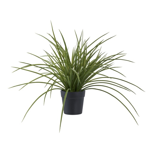 [9501004] Plante grasse artificielle Carex - 45 cm