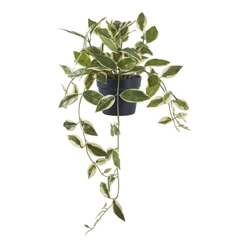 [9501006] Plante artificielle suspendue Hoya Carnosa - 33 cm