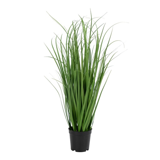 [9501080] Plante grasse artificielle Poa - 68 cm